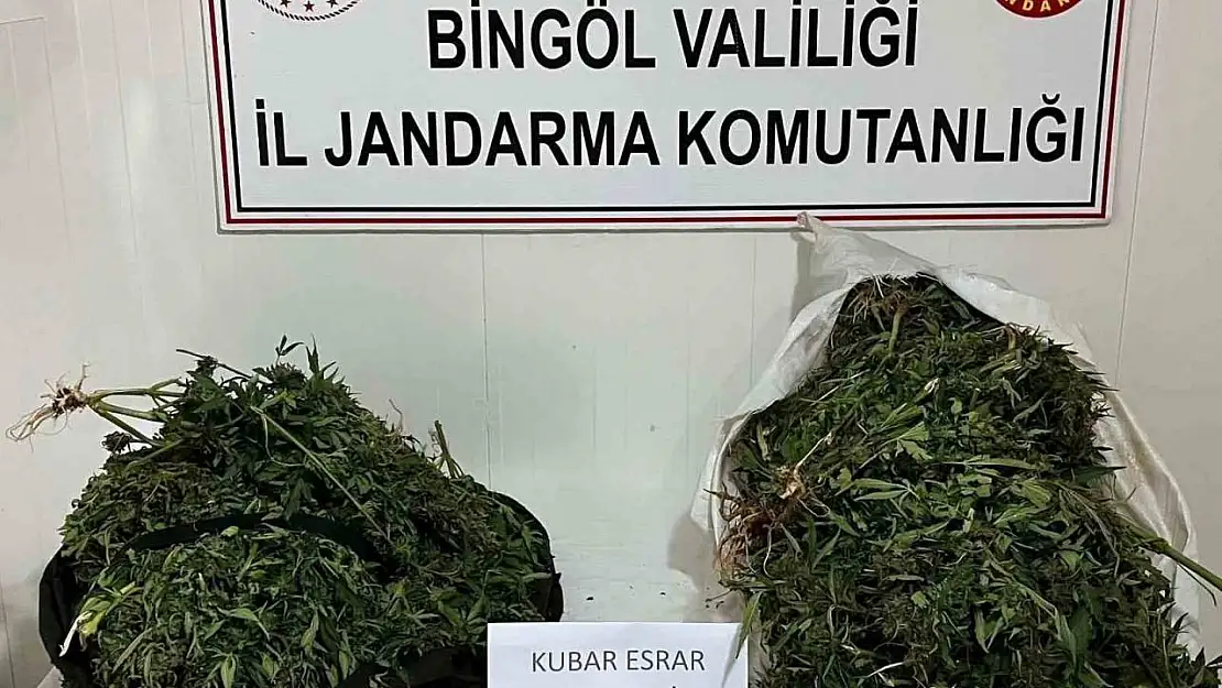 Bingöl'de bagajda ele geçirilen yaklaşık 18 kilogram uyuşturucuya 4 tutuklama