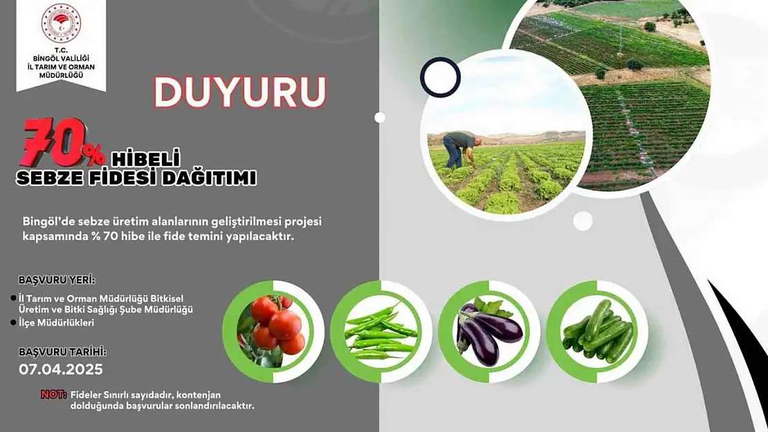 Bingöl'de çiftçilere yüzde 70 hibe destekli sebze fidesi dağıtılacak
