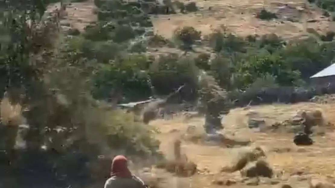 Bingöl'de hortum otları uçurdu