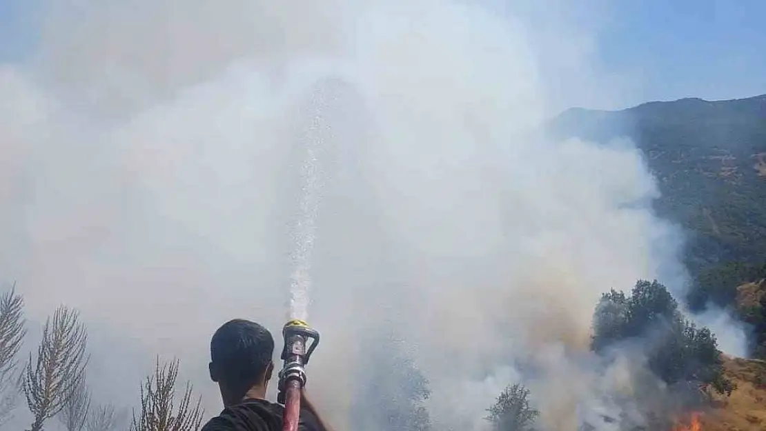Bingöl'de kırsal alanda çıkan yangın söndürüldü