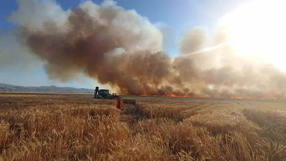 Bingöl'de onlarca dönüm ekili arazi küle döndü