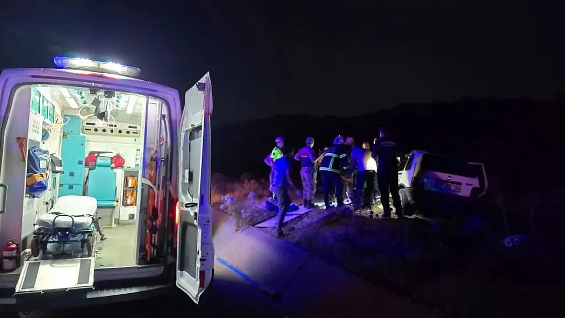 Bingöl'de otomobil ata çarptı: 2 yaralı