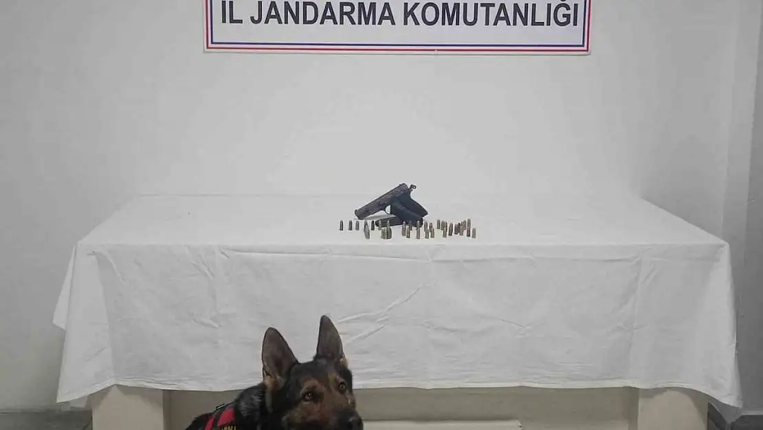 Bingöl'de ruhsatsız silah ele geçirildi
