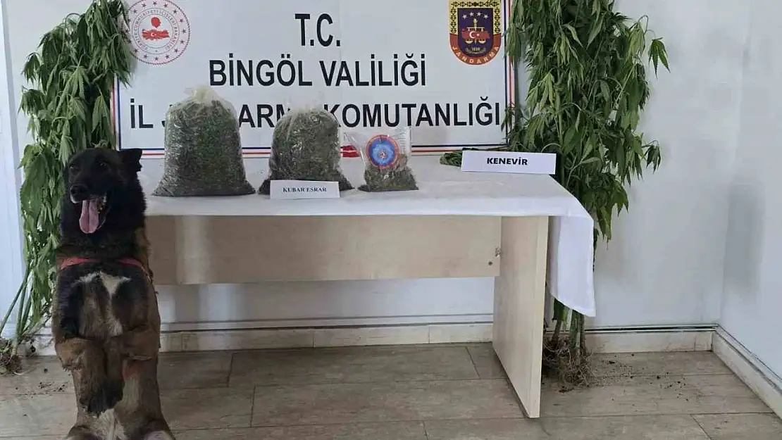 Bingöl'de uyuşturucuyla mücadele