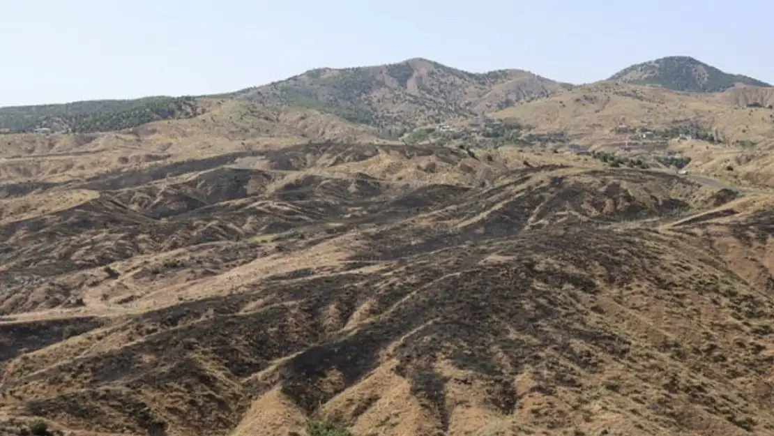 Bingöl'deki orman yangını söndürüldü