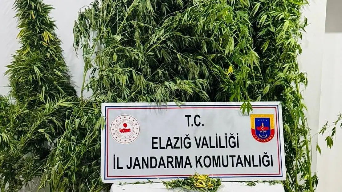 Elazığ'da uyuşturucuyla mücadele