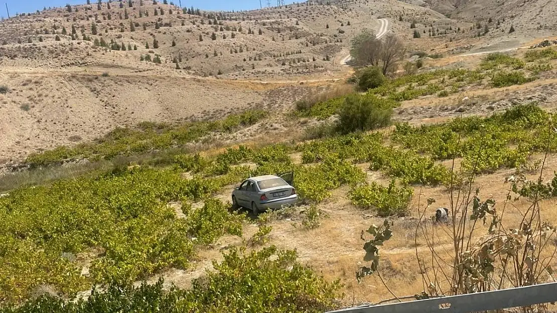 Malatya'da kontrolden çıkan araç üzüm bağına uçtu: 2 yaralı
