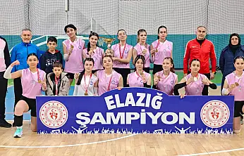 OKUL SPORLARI GENÇLER VOLEYBOL İL BİRİNCİLİĞİ TAMAMLANDI