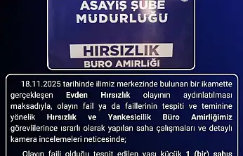 Bingöl'de hırsızlık olayının faili tutuklandı