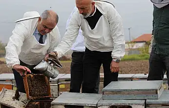Elazığ arı kovanları incelendi