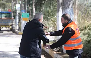 Elazığ Belediyesi'nden Vatandaşlara Ücretsiz Çam Fidanı