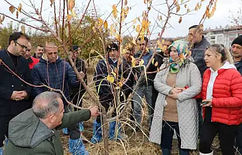 Elazığ'da ağaç budama ve aşılama eğitimi