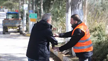 Elazığ Belediyesi'nden Vatandaşlara Ücretsiz Çam Fidanı