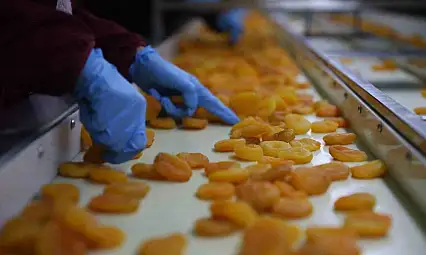 Zirai donun vurduğu coğrafi işaretli Malatya kayısısında hedef 300 milyon dolar gelir