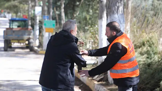 Elazığ Belediyesi'nden Vatandaşlara Ücretsiz Çam Fidanı