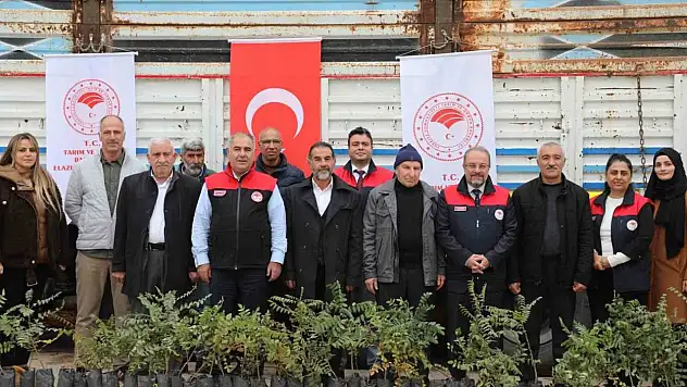 Elazığ'da sumak üretimi artıyor