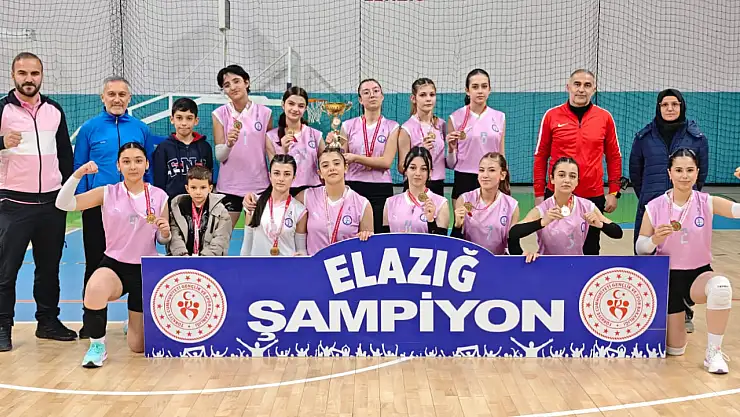 OKUL SPORLARI GENÇLER VOLEYBOL İL BİRİNCİLİĞİ TAMAMLANDI