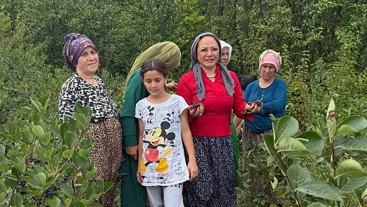 Aronya Akçaabat'tan dünyaya açılıyor