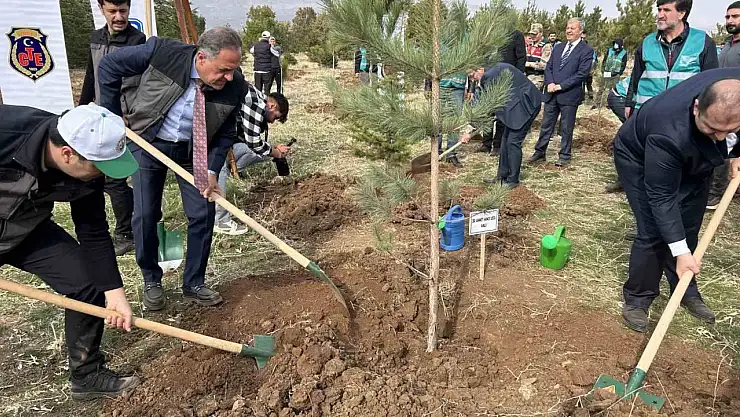 Bingöl'de 25 bin fidan toprakla buluştu