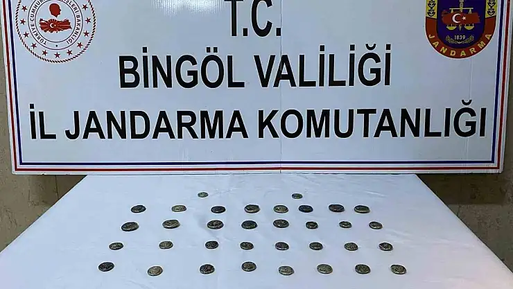 Bingöl'de 42 adet sikke ele geçirdi
