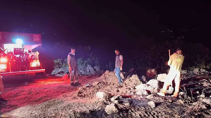 Bingöl'de çıkan orman yangınları kontrol altına alındı