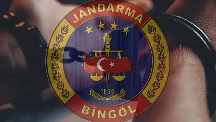 Bingöl'de kesinleşmiş hapis cezası bulunan zanlı yakalandı