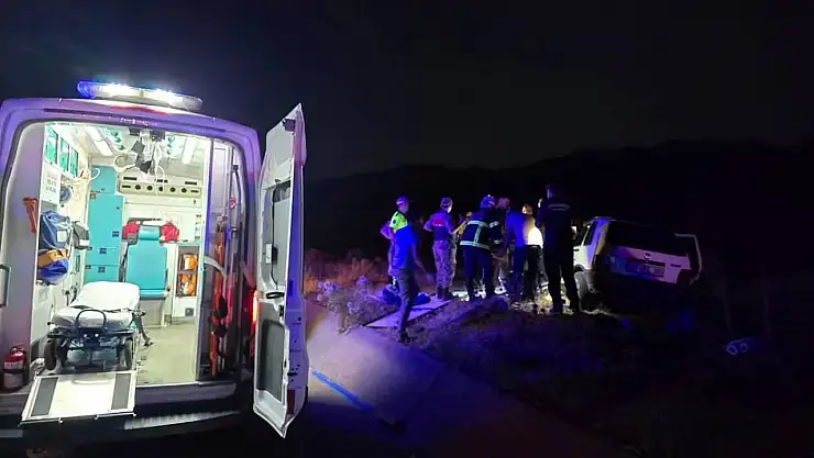 Bingöl'de otomobil ata çarptı: 2 yaralı