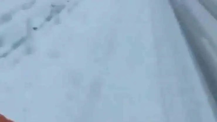 Bingöl'ün yüksek kesimleri beyaza büründü