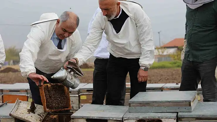 Elazığ arı kovanları incelendi