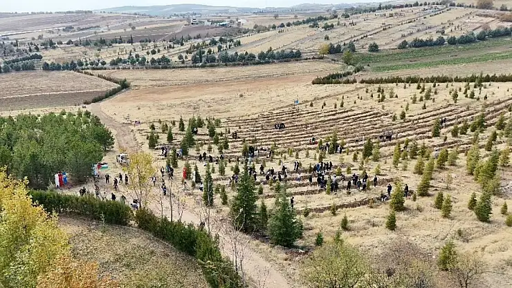 Elazığ'da Doğu Türkistan ve Filistin için fidan diktiler