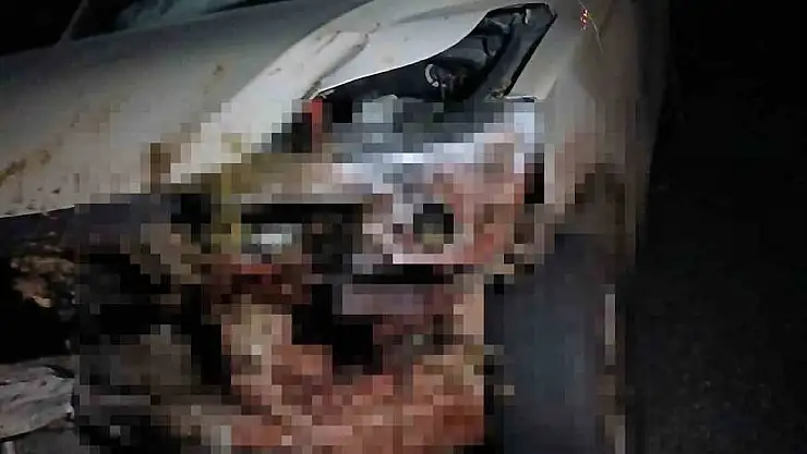 Elazığ'da kamyonet sürüye çarptı: 30 küçükbaş hayvan telef oldu