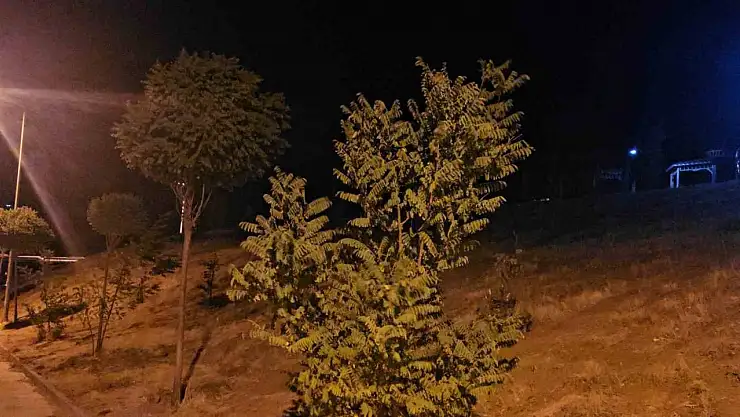 Elazığ'da kuvvetli rüzgar etkisini sürdürüyor