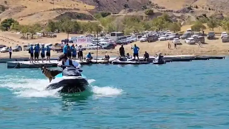 Elazığ'da sahibiyle jet ski turu atan köpek gülümsetti