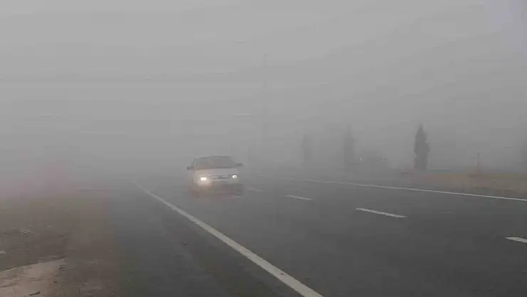 Elazığ'da sis etkili oldu