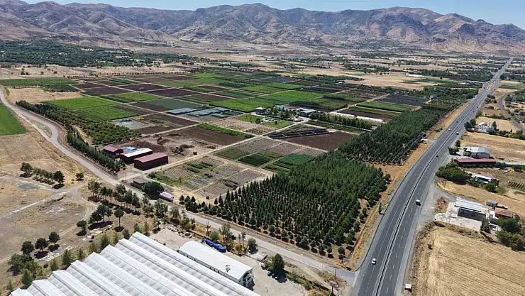 Elazığ'da üretilen milyonlarca fidan, ülkeye nefes oluyor