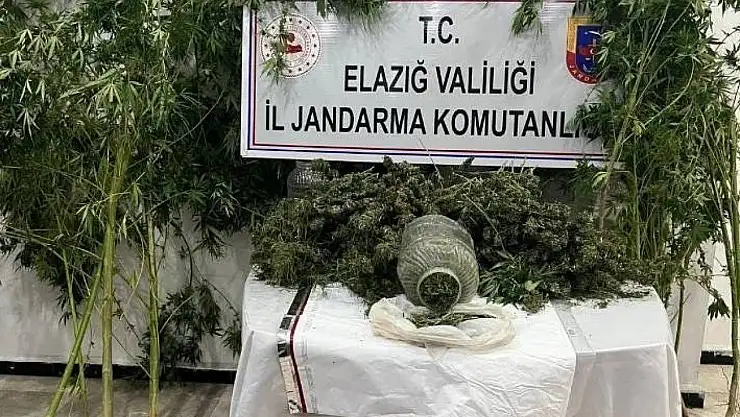 Elazığ'da uyuşturucuyla mücadele: 1 tutuklama