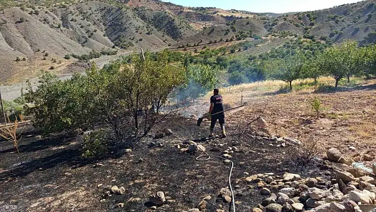 Hekimhan'da ormanlık alanda çıkan yangın söndürüldü
