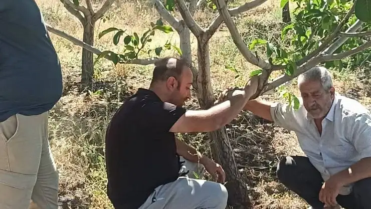 Kovancılar'da çiftçiler bilgilendirdi