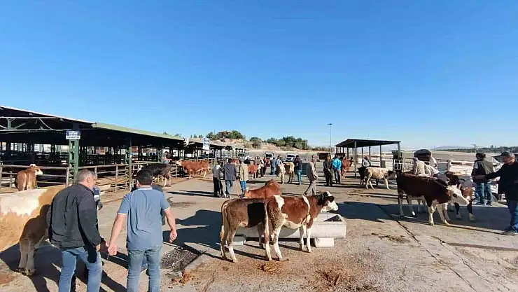 Malatya'da kapalı olan hayvan pazarı yeniden açıldı