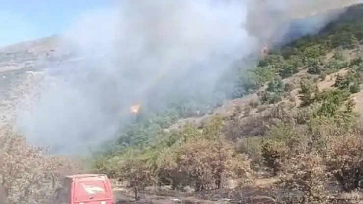 Malatya'daki orman yangını söndürüldü