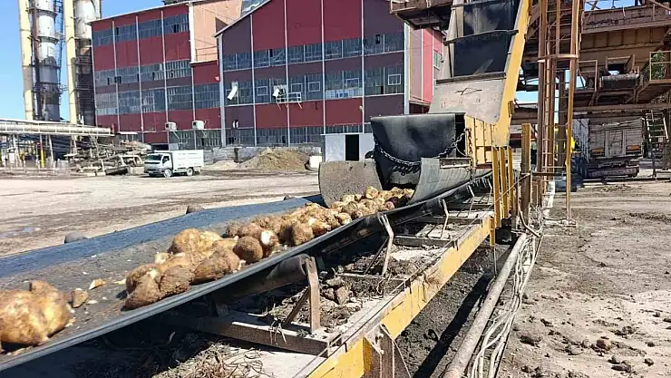 Malatya Şeker Fabrikası'nda 62 bin ton şeker üretimi hedefleniyor