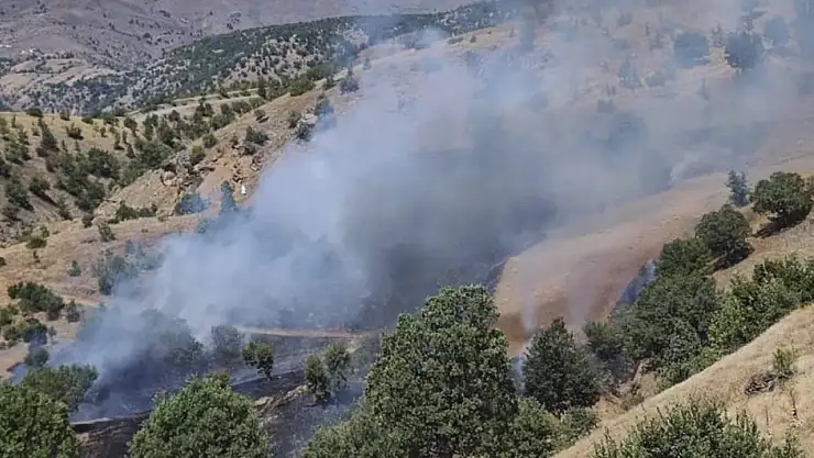 Pütürge'de orman yangını