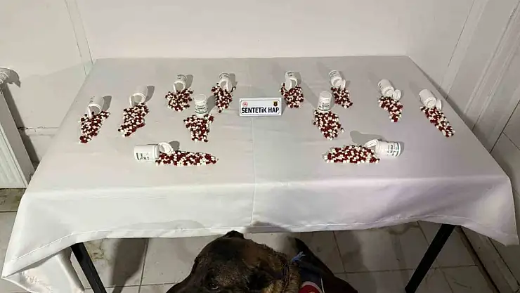 Tunceli'de narkotik köpeği 'Ayar' bagaja zulalanmış uyuşturucuyu buldu: 2 şüpheli yakalandı