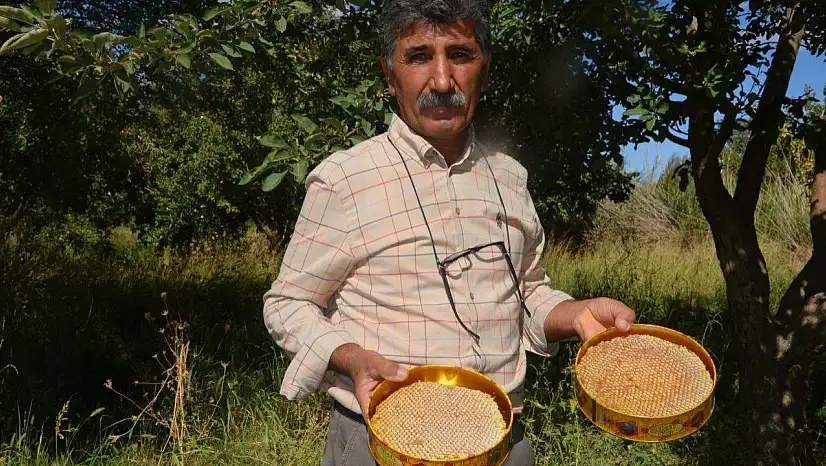 Malatya'da bal hasadı başladı