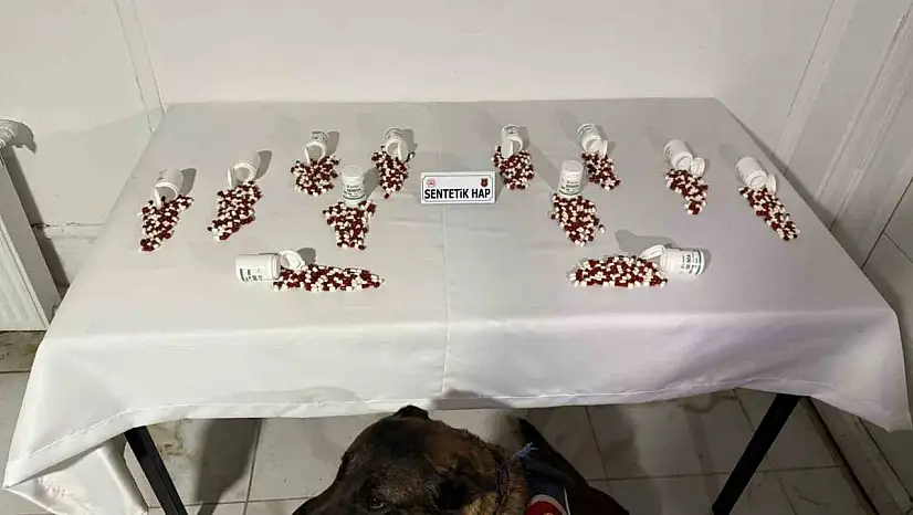Tunceli'de narkotik köpeği 'Ayar' bagaja zulalanmış uyuşturucuyu buldu: 2 şüpheli yakalandı