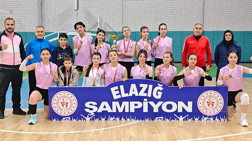 OKUL SPORLARI GENÇLER VOLEYBOL İL BİRİNCİLİĞİ TAMAMLANDI