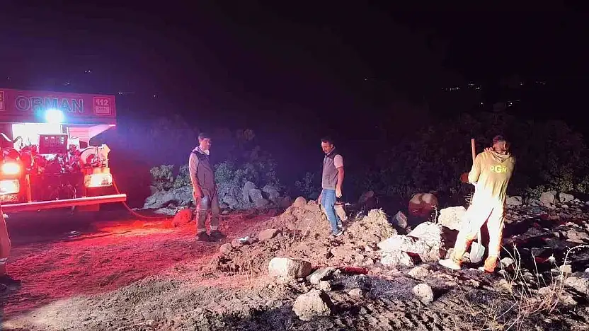 Bingöl'de çıkan orman yangınları kontrol altına alındı