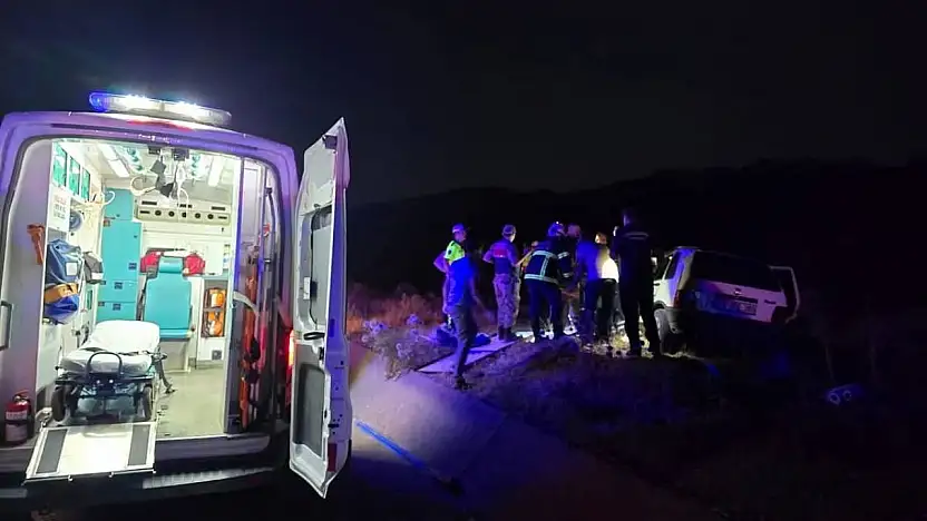 Bingöl'de otomobil ata çarptı: 2 yaralı