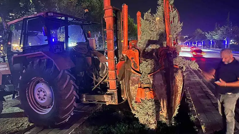 Hazardağlı Kavşağı'ndaki ağaçlar taşınarak koruma altına alınıyor