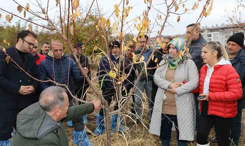 Elazığ'da ağaç budama ve aşılama eğitimi